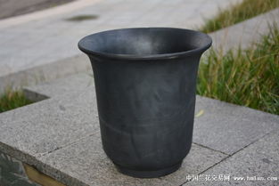 精品大號金鐘盆 泥瓦盆在蘭花種植中的應用與普通馬桶的對比分析