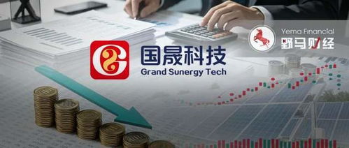 2天蒸發(fā)40億，國(guó)晟科技妖股神話(huà)破滅 鋰電故事不再講得通