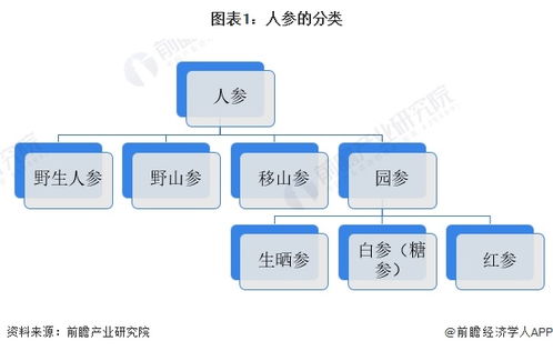 預(yù)見2024 中國人工智能基礎(chǔ)軟件開發(fā)賦能下的人參行業(yè)全景圖譜
